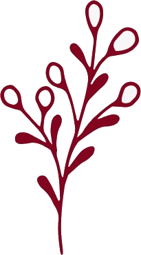 Decoration